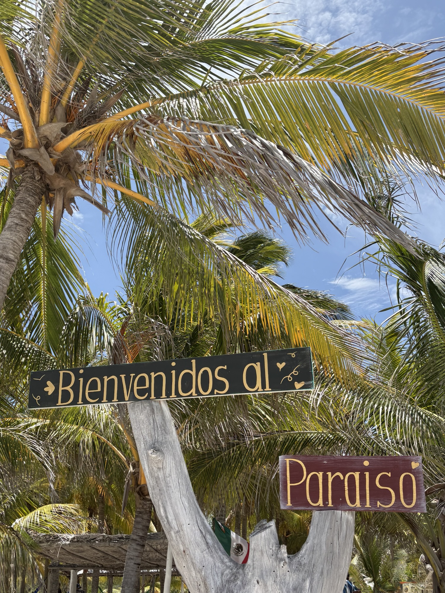 Bienvenidos